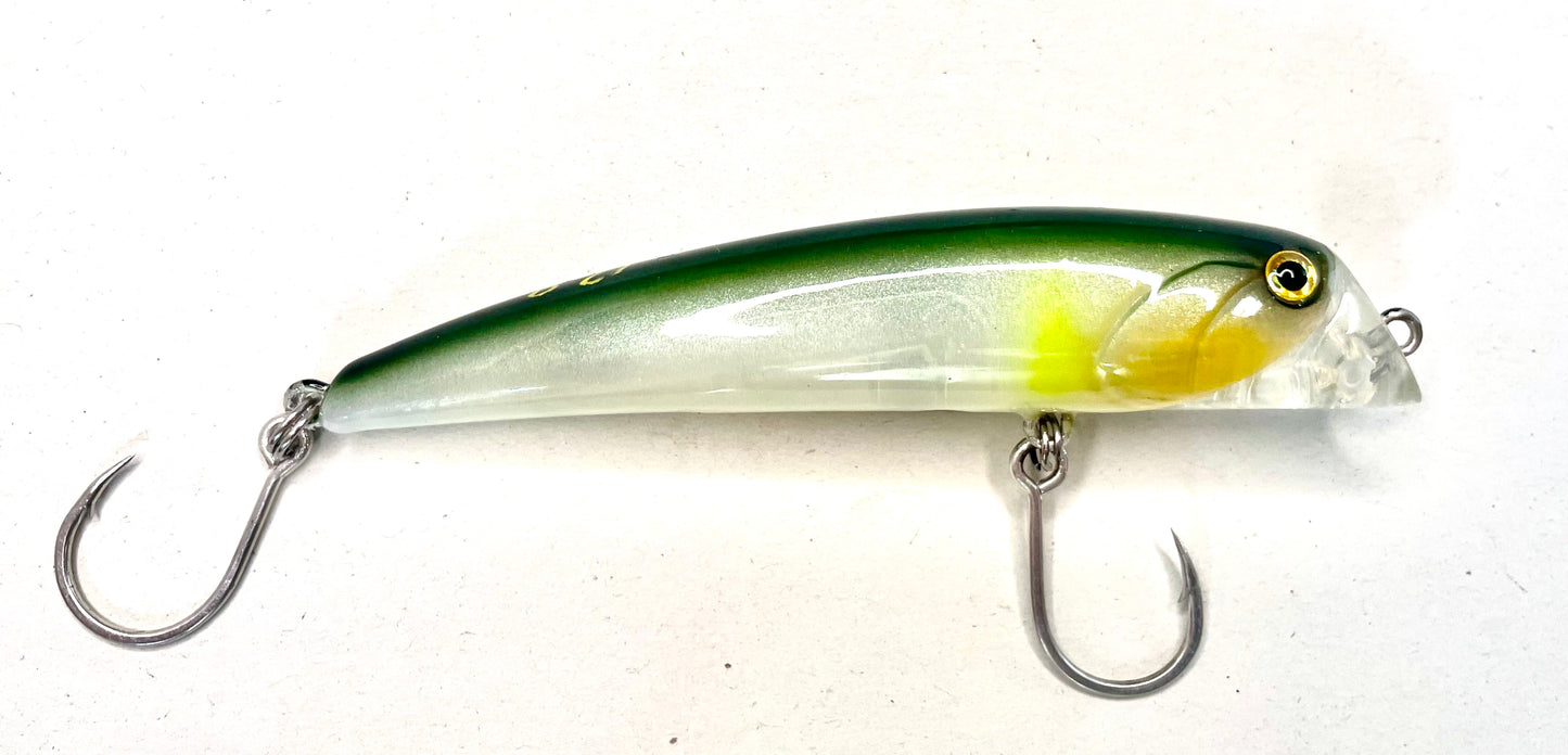 Bull Head Minnow