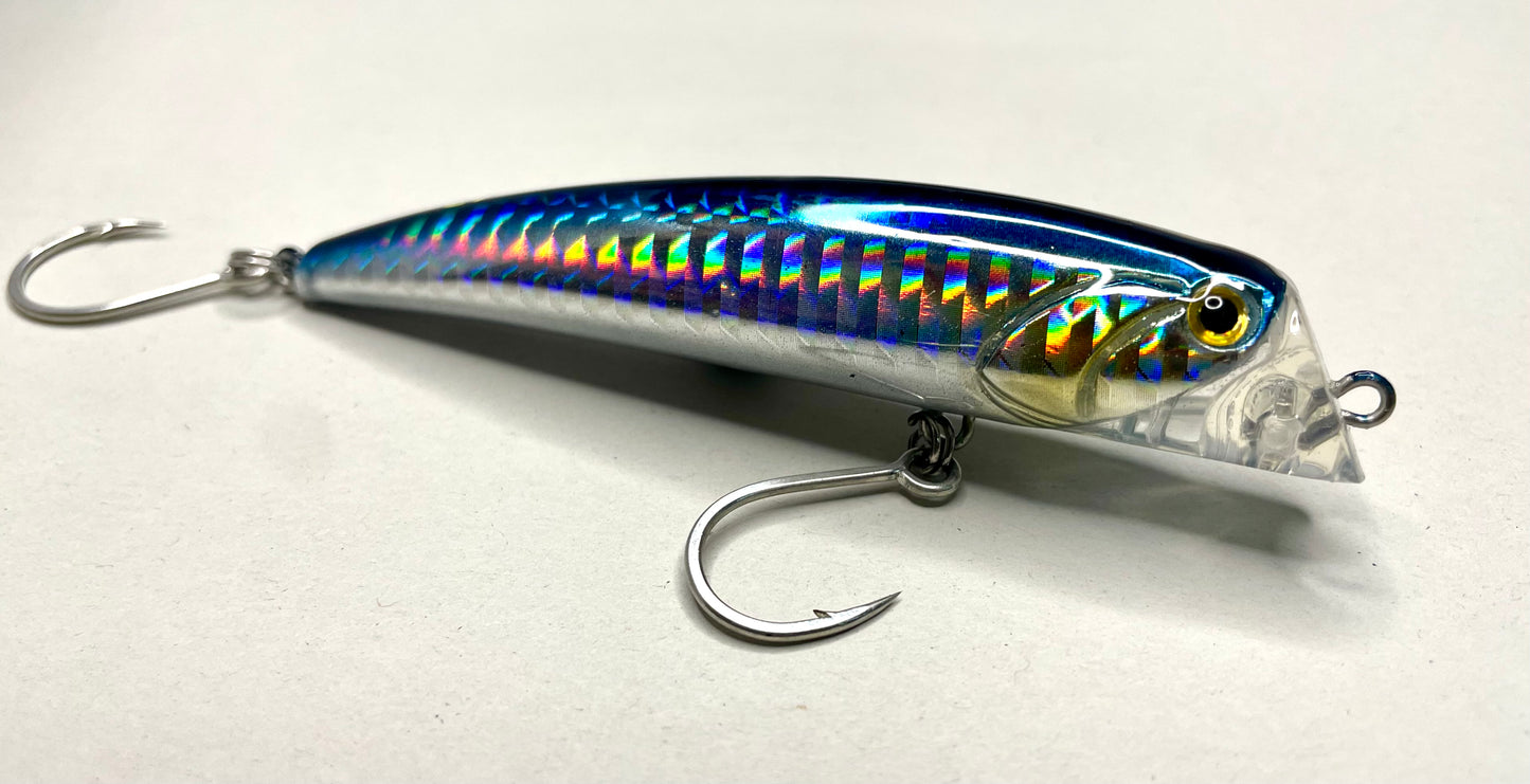 Bull Head Minnow