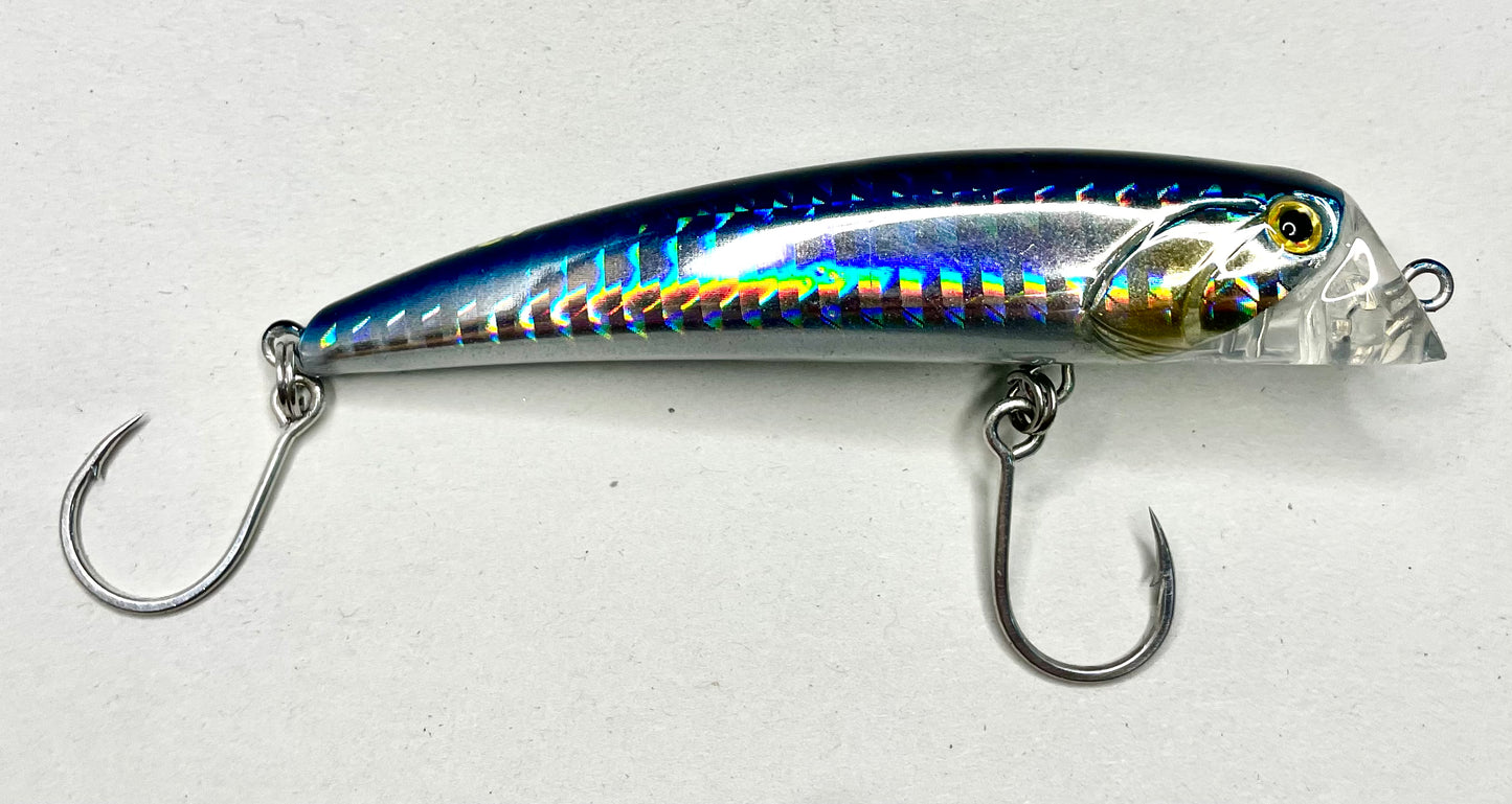 Bull Head Minnow