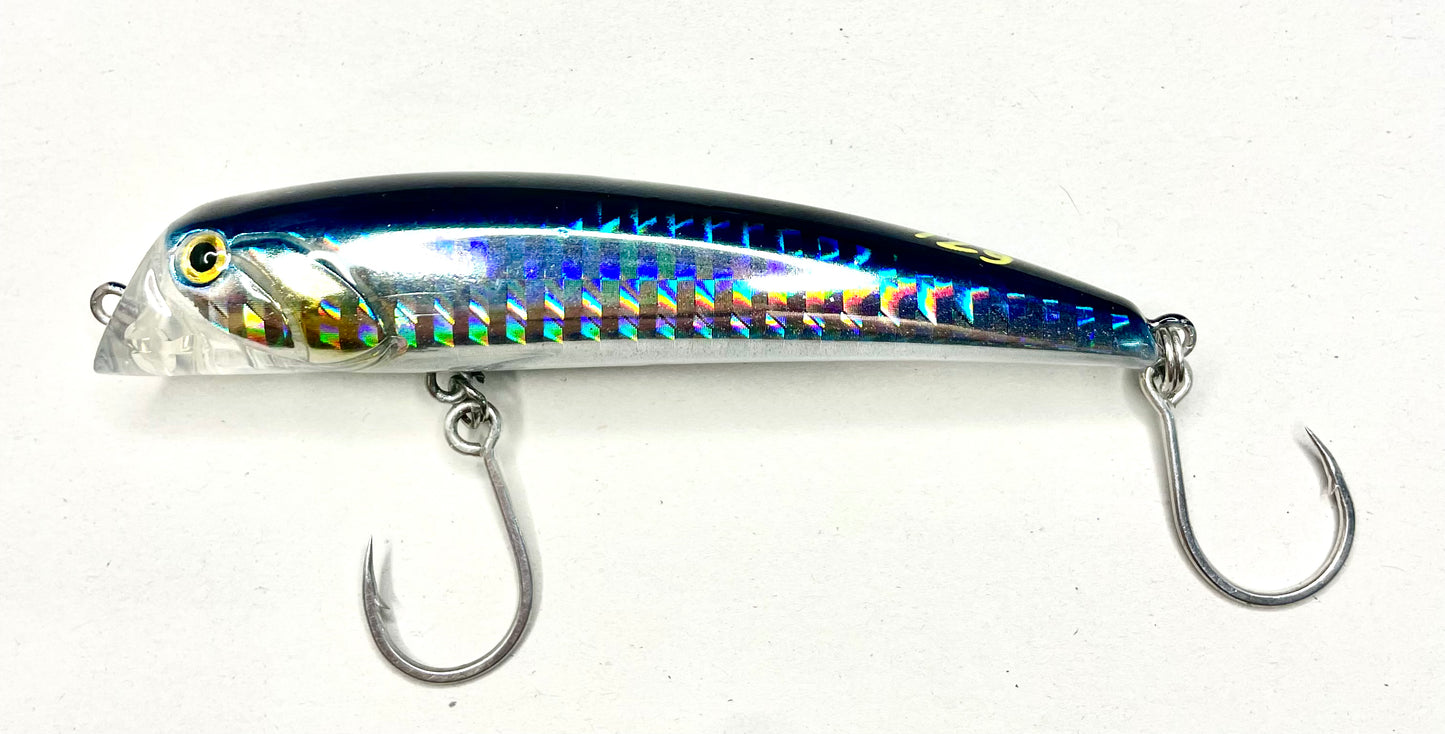 Bull Head Minnow